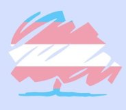 Tory Trans Campaign launches to counter rise in anti-trans Conservatives