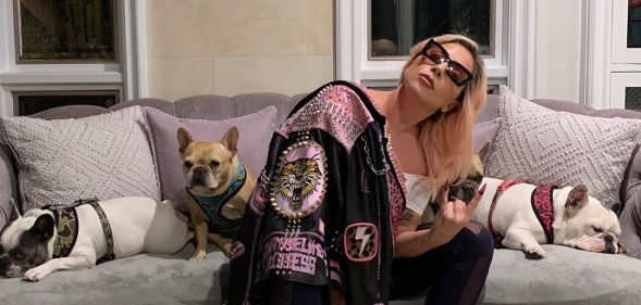 Lady Gaga is serving self-isolation pandemic preparedness