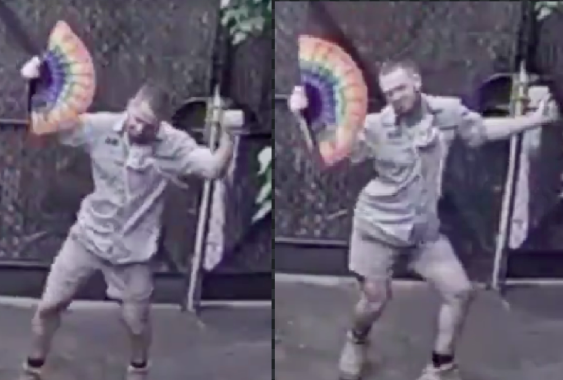 Melbourne Zoo: Zookeeper’s giraffe enclosure dance wins legions of fans