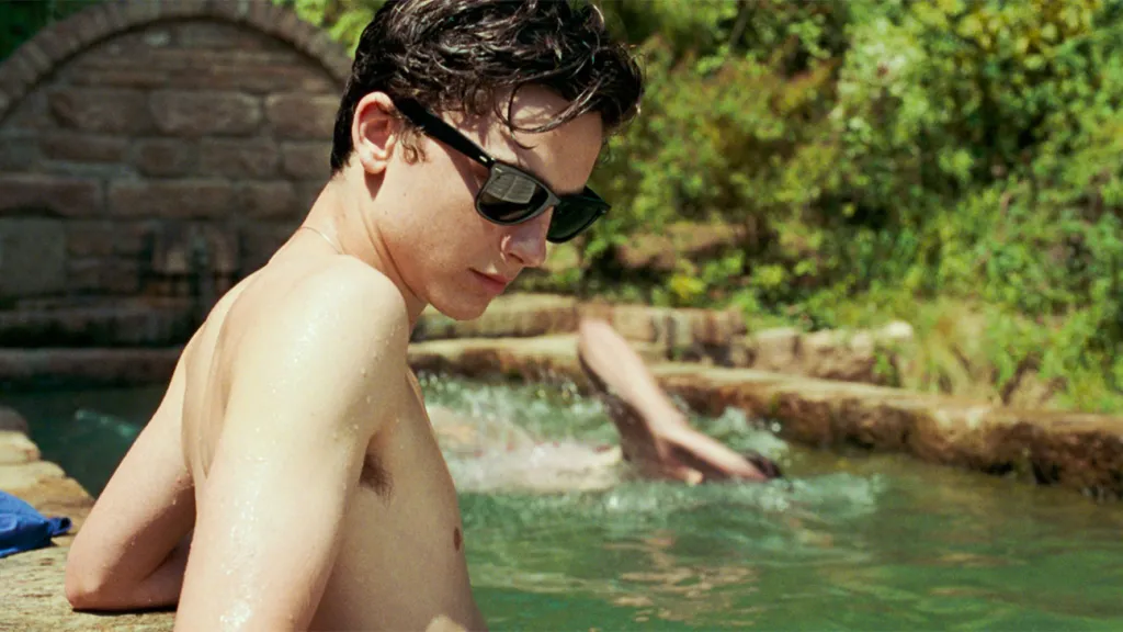 Timothee Chalamet pictured playing Elio in a scene from Call Me By Your Name. He is shirtless, standing in a river and wearing sunglasses. 