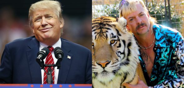 Tiger King: Donald Trump Jr compared his dad to gay criminal Joe Exotic