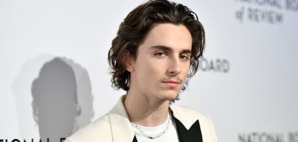 Timothee Chalamet in a suit on the red carpet - the suit is white with black lapels