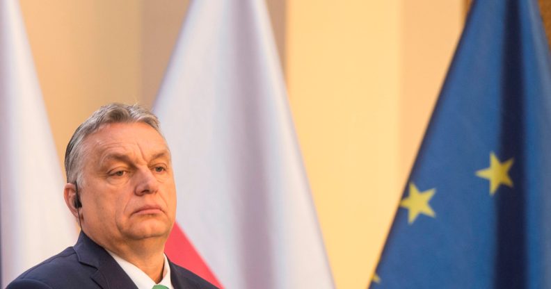 MEPs slam Viktor Orbán over abuse of Hungary's trans community