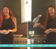 Chanel the parrot