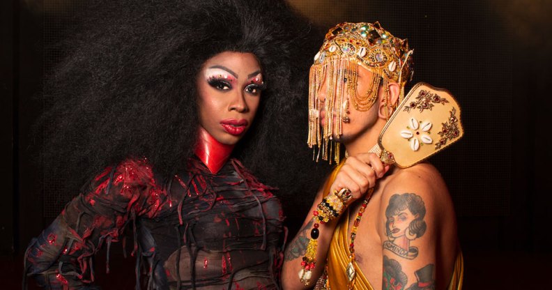 Drag Race royalty Aja and Honey Davenport want their sisters to pull up
