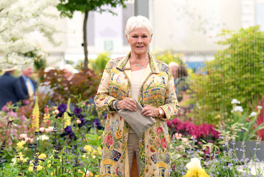 Judi Dench isn't a fan of her 'Cats' character: A great big orange bruiser