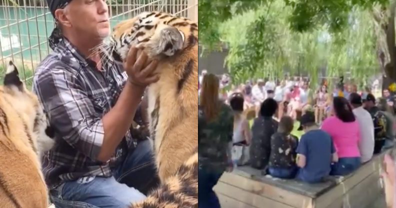 Jeff Lowe cuddles-up with big cats (L) as countless victors crowd the Tiger King Park for its grand re-opening. (Screen captures via Instagram)