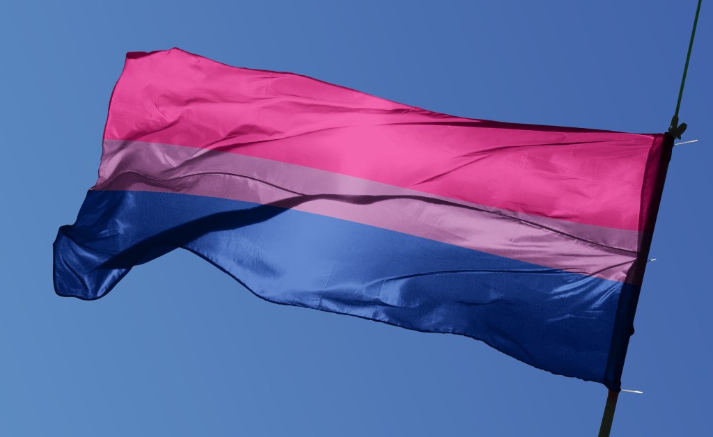 The bisexual Pride flag colours of pink, puple and blue