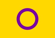 All The LGBTQ Flags You Might See This Pride And What They Mean All The LGBTQ Flags You Might See This Pride And What They Mean