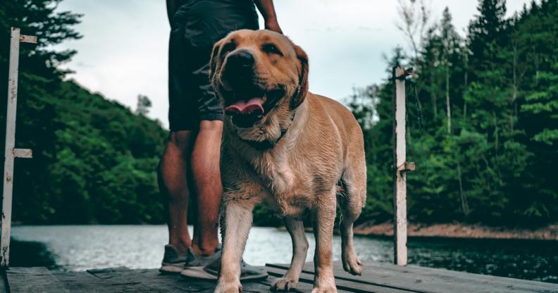 hate crime gay men Essex