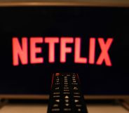 Netflix has pulled the plug on the series