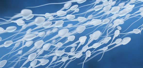 Human sperm