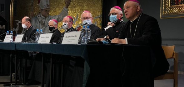 Poland bishops conversion therapy