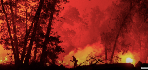 A firefighter has died in the wildfire caused by a gender-reveal party