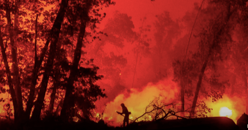 A firefighter has died in the wildfire caused by a gender-reveal party