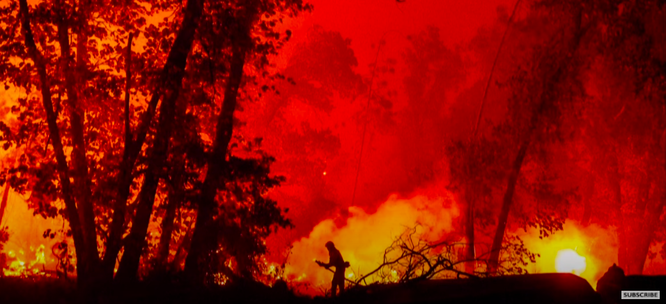 A firefighter has died in the wildfire caused by a gender-reveal party