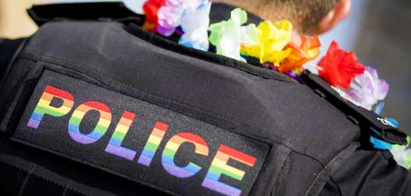 government diversity champions