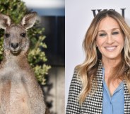 A kangaroo and Sarah Jessica Parker