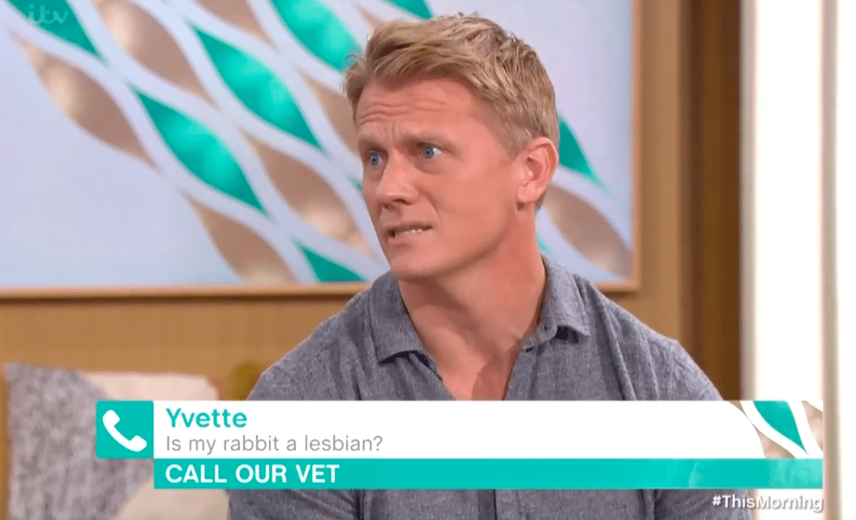 Lgbt Rabbits Pet owner asks vet if her rabbit is a lesbian. He styles it out beautifully