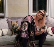 Lady Gaga dogs stolen