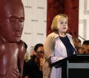 judith collins new zealand national party