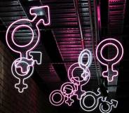 neon gender symbols including male female trans