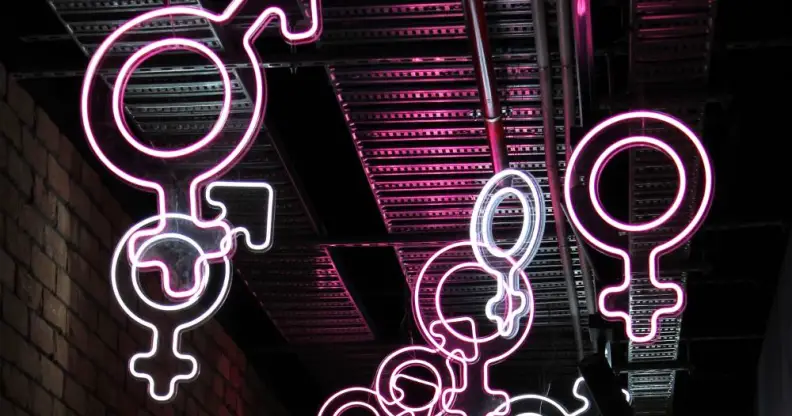 neon gender symbols including male female trans
