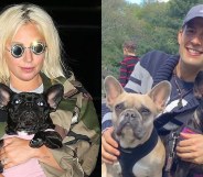 Lady Gaga in a camouflage jacket holding a French bulldog. Ryan Fischer holding two dogs