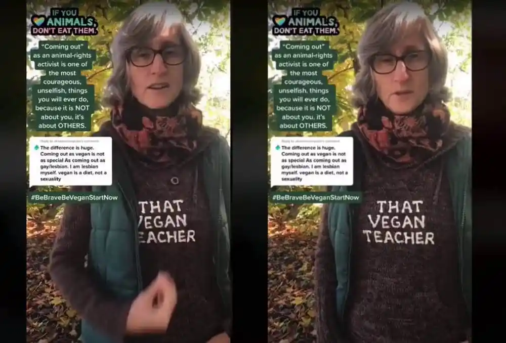 That Vegan Teacher: TikTok star under fire for LGBT+ comments