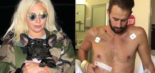 On the left: Lady Gaga in a camouflage jacket holding a French bulldog. On the right: Ryan Fischer, shirtless, sits upright on a hospital bed
