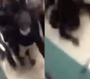 Attack on trans teenager