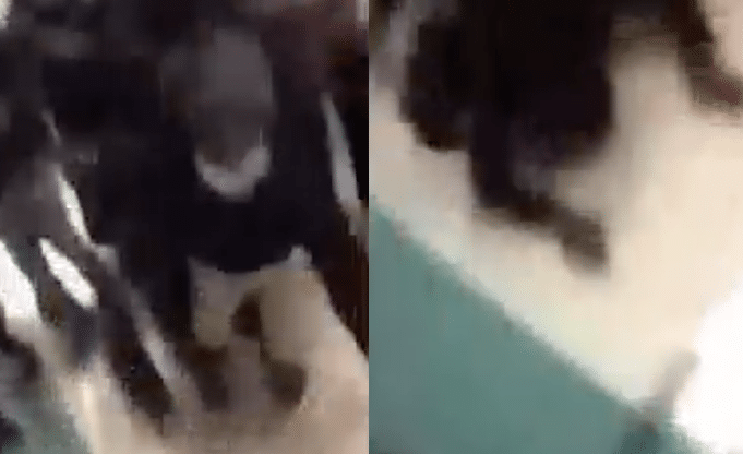 Attack on trans teenager