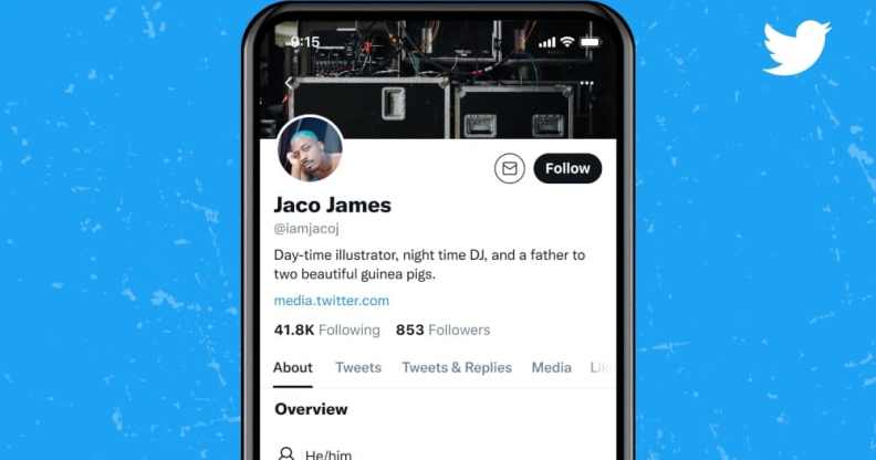 An iPhone showing up a mock Twitter profile with a section for pronouns