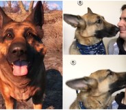 Dogmeat River Fallout 4