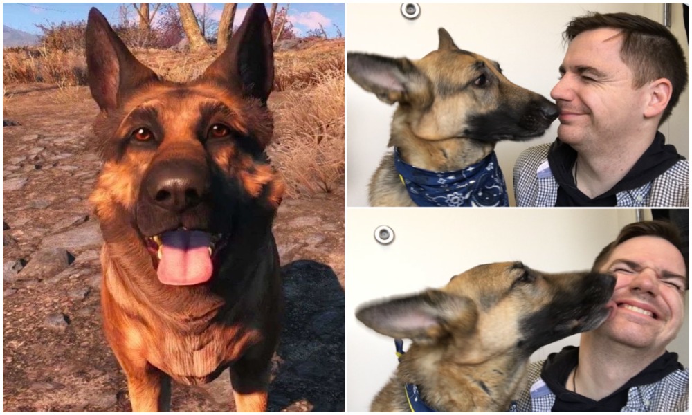 Fallout 4 Dog Porn - Fallout 4 developer's heart-wrenching tribute to the real-life Dogmeat