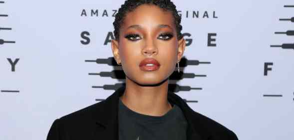 Willow Smith skincare products