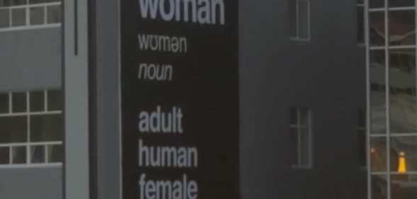 Anti-trans billboard in New Zealand removed after less than 24 hours.