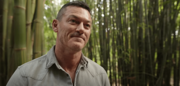 Luke Evans stars in the Amazon Prime Video series Nine Perfect Strangers.