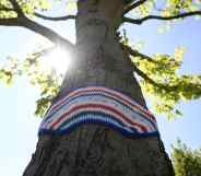 A tree with a knitted rainbow hanging on its trunk