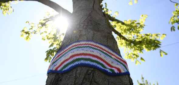 A tree with a knitted rainbow hanging on its trunk