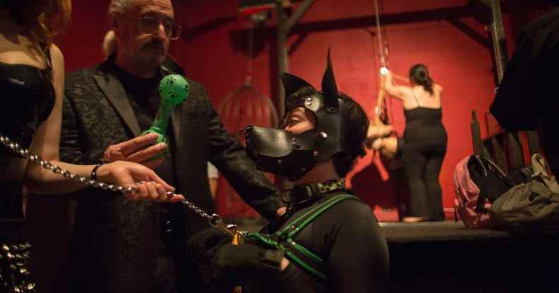 Pup EKO role-plays an obedient dog at a dungeon party.
