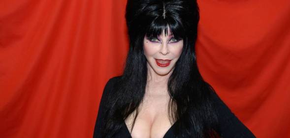 Picture of Elvira in full makeup and her trademark black dress with a blood red background