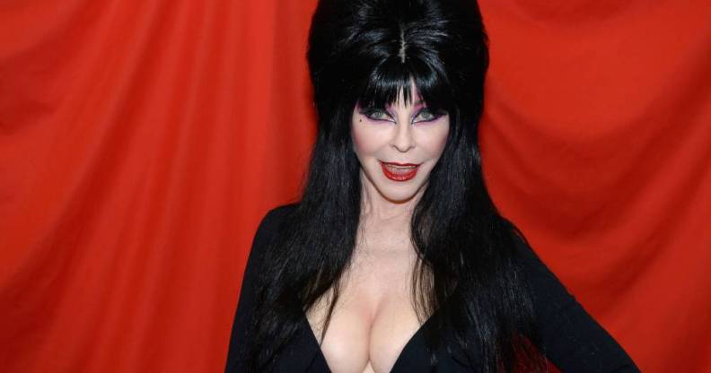Picture of Elvira in full makeup and her trademark black dress with a blood red background