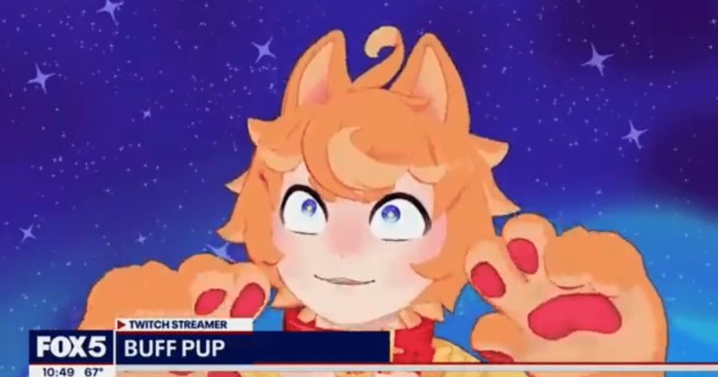 Furry VTuber Twitch streamer Buffpup on Fox News