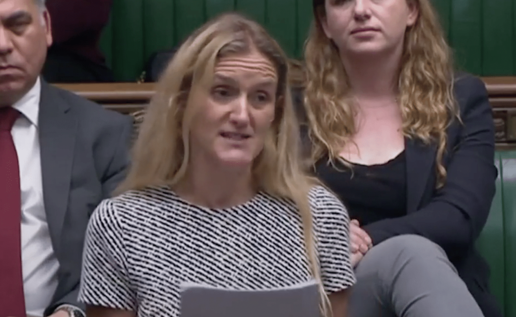 Jo Cox's sister Kim Leadbeater gave an emotional speech in parliament