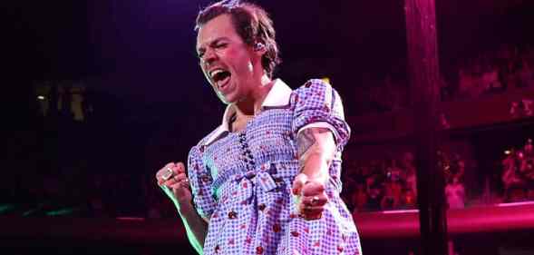 Harry Styles is dressed as Dorothy from the Wizard of Oz during a concert