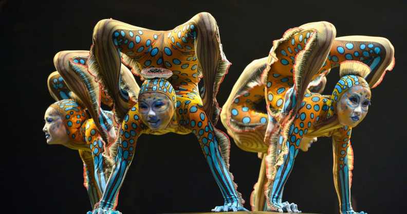 Cirque du Soleil contortionists