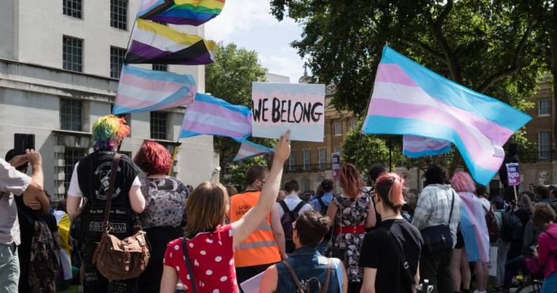 People hold up trans pride flag, non-binary flag and progressive pride flags in a protest outside Downing Street