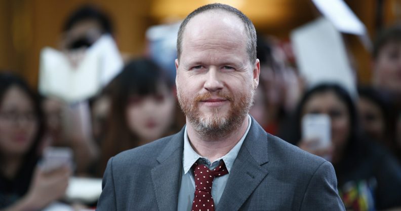 Joss Whedon poses on the red carpet with fans behind him