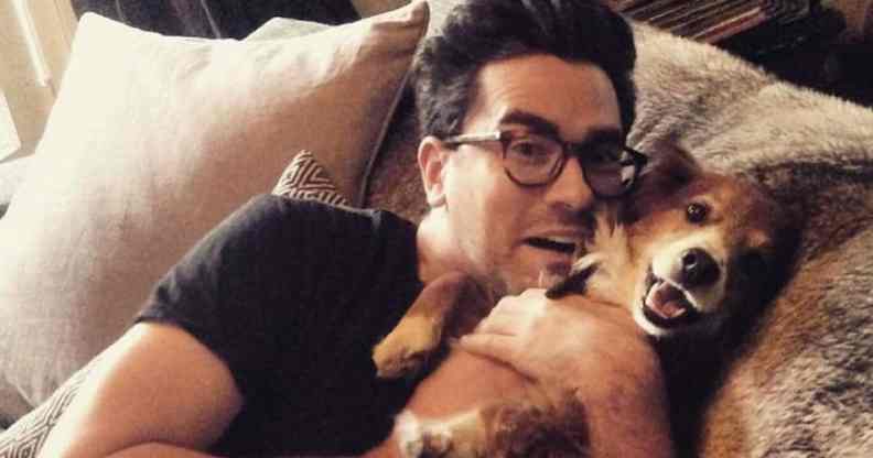Dan Levy holds a fluffy brown and white dog